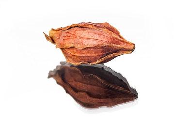 漫改格斗游戏《咒术回战：战华双乱》确认明年2月2日发售